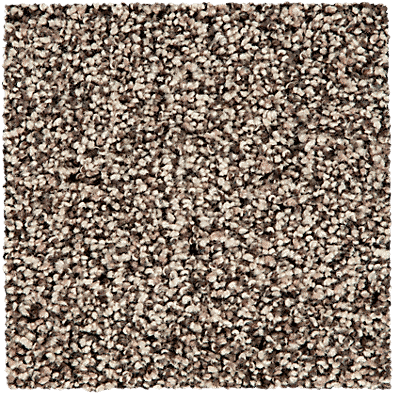 SmartStrand ColorMax Carpet in Natural