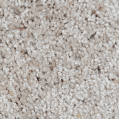 Textured Saxony carpet in Sun Prairie, WI from Bisbee's Flooring Center