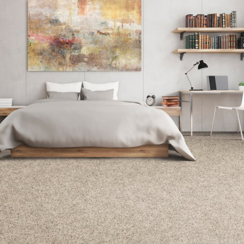Bisbee's Flooring Center provides easy stain-resistant pet proof carpet in Sun Prairie, WI. - Coastal Fashion I- Shoreline