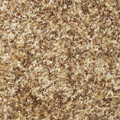 Frieze carpet in Sun Prairie, WI from Bisbee's Flooring Center